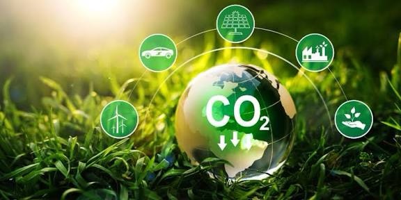 Ministério da Fazenda corre com Mercado do Carbono
