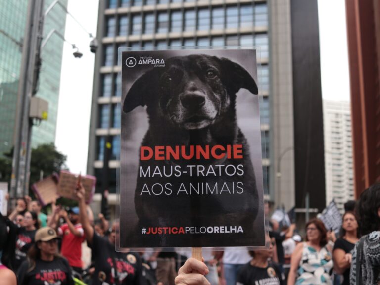 Manifestação na Avenida Paulista pede justiça pela morte do cão Orelha